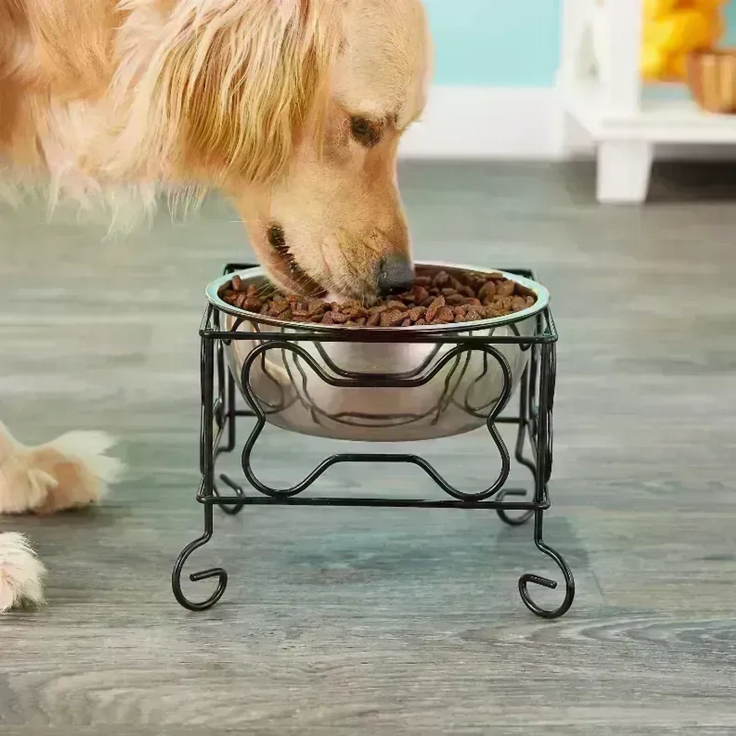 Food Bowls, Water Bowls, Mats & Accessories