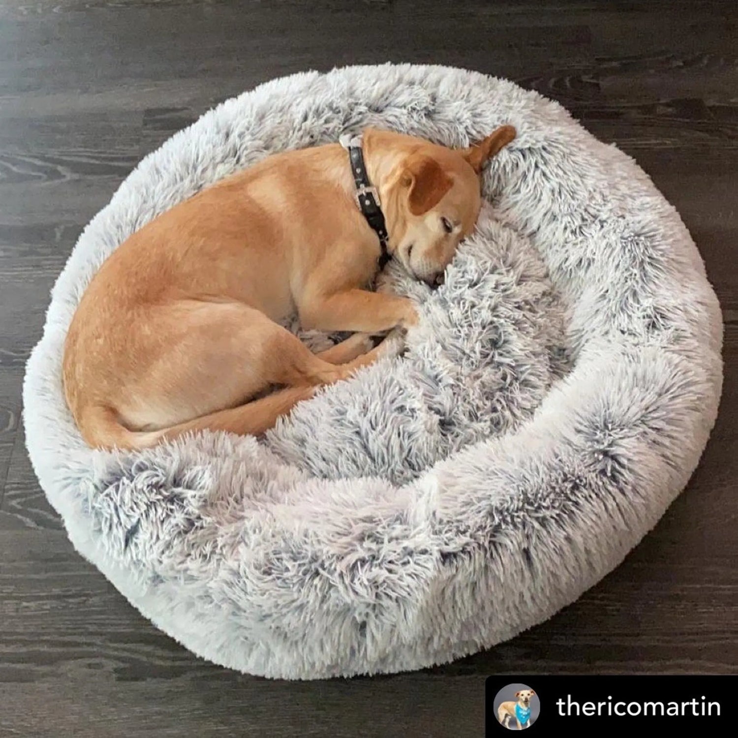 Pet Beds
